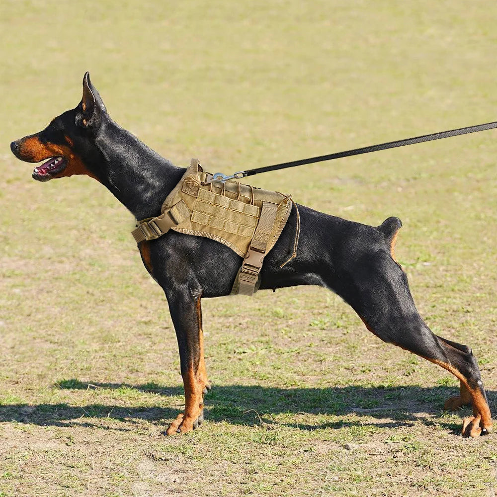 Military Tactical Nylon Bungee Leash Harness