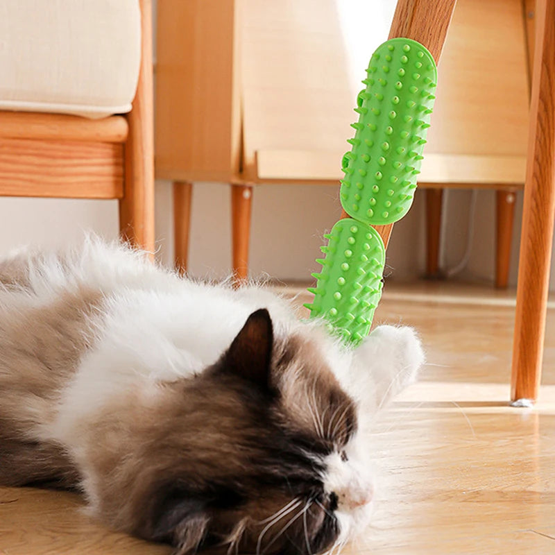 Cat Scratcher Hair Remove Comb Kitten Care