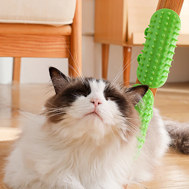 Cat Scratcher Hair Remove Comb Kitten Care