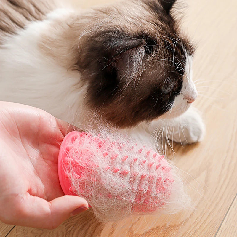 Cat Scratcher Hair Remove Comb Kitten Care