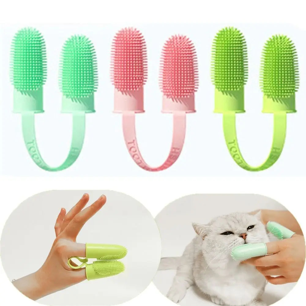 Double Head Teeth Cleaning Reusable Dental Care Tool