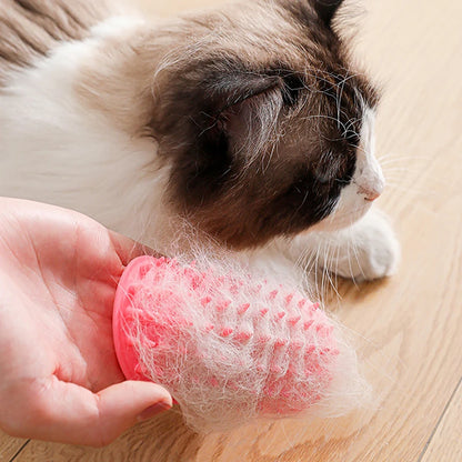 Cat Scratcher Hair Remove Comb Kitten Care